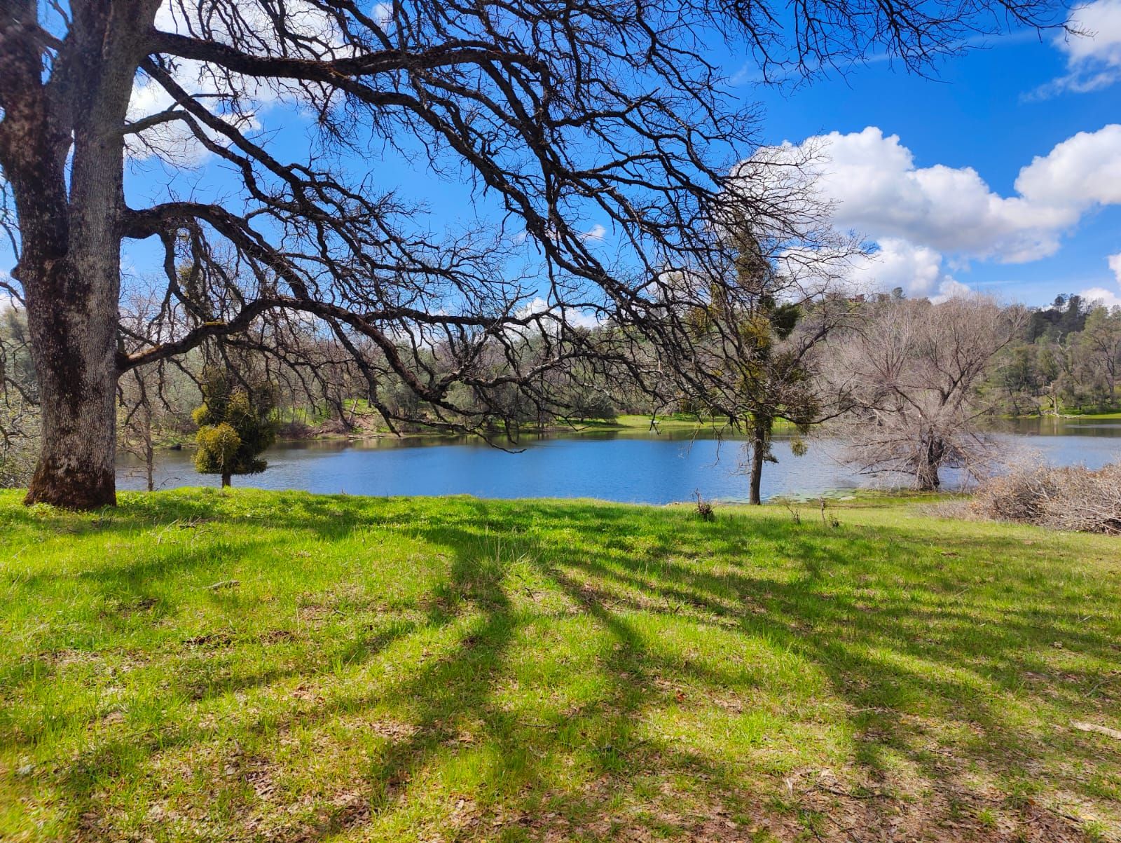 Rolling Oaks Ranch Landscape