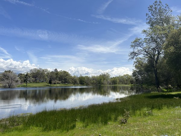 Rolling Oaks Ranch Cabin & Lakefront