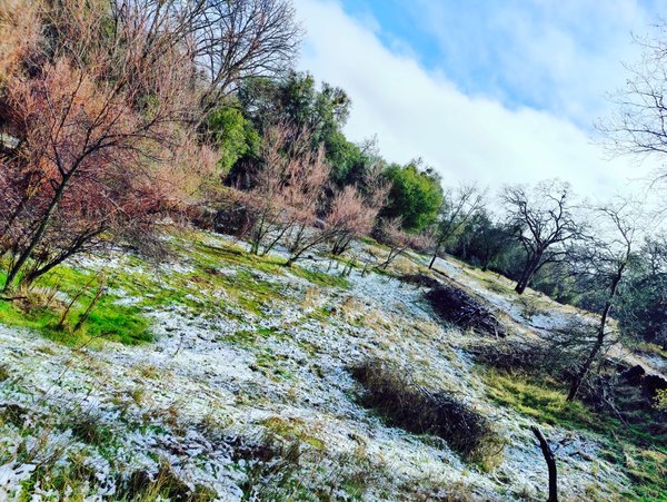 Sierra Foothills Seasons